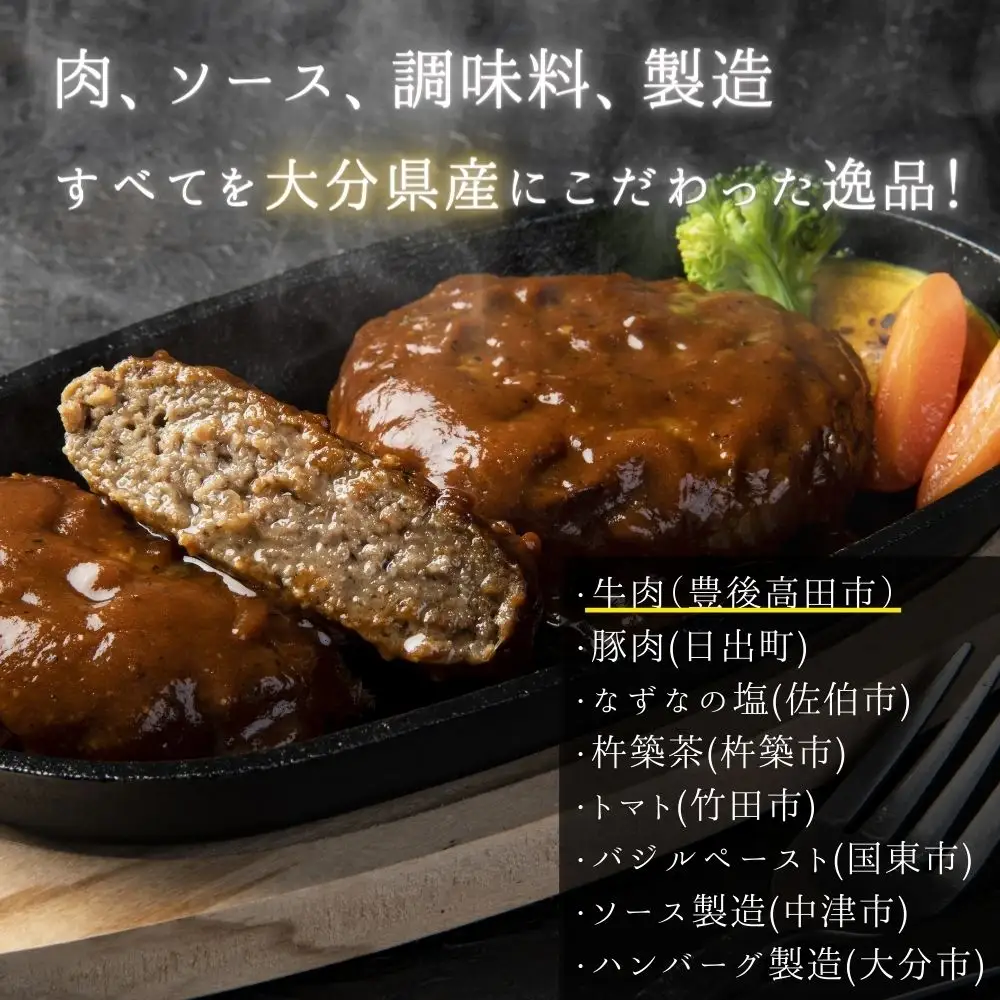 大分の恵み ハンバーグ 1.6kg (160g×10個) | 豊後高田市 ハンバーグ