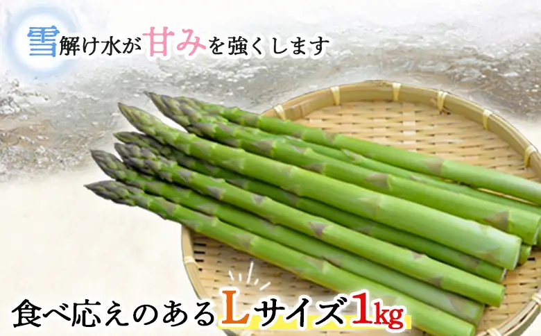 【先行受付】グリーンアスパラ（Lサイズ1kg）【令和8年5月中旬～6月中旬発送】【1201503】