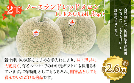 【数量限定】 赤肉メロン２玉・ミニメロンゼリーセット【令和8年７月～８月上旬発送】【1201707】
