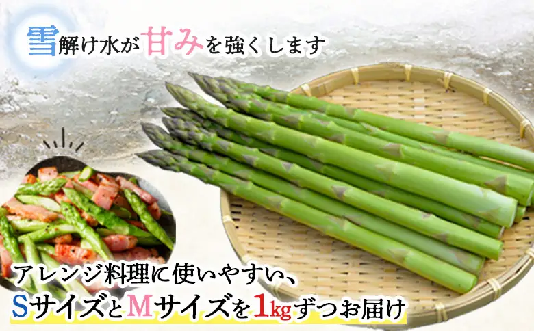 【先行受付】グリーンアスパラSMサイズ2kg（S・Mサイズ各1kg）【令和8年5月中旬～6月中旬発送】【1201603】