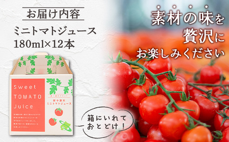 ミニトマトジュースセット（180ml×12本）【1201102】