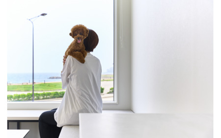 グランピング宿泊　オーシャンスタンダードwith dog棟（2名1室）｜宿泊券クーポン チケット 海鮮 BBQ