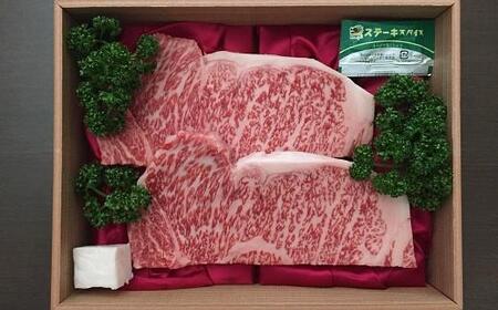丹波牛 A5サーロインステーキ600g（牛肉ステーキ ステーキ肉 和牛ステーキ 肉ステーキ）