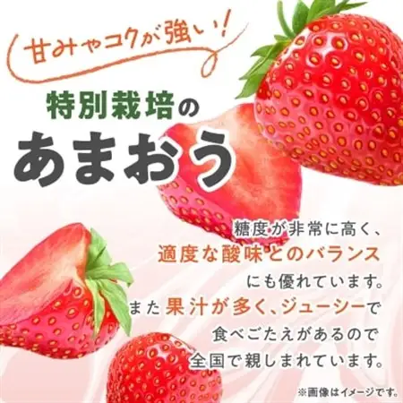 【数量限定】特別栽培あまおう4パック【2026年12月より順次発送】_果物・フルーツ いちご  イチゴ 苺_【配送不可地域：離島】【1445836】