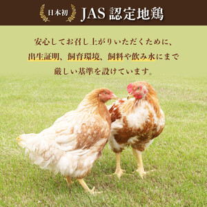旅する阿波尾鶏シリーズ 3種 各10食入 計30食 バターチキンカレー ごちそうカレー ぜいたくガパオ カレー ガパオ タイ料理 常温 レトルト AWAODORI LAB
