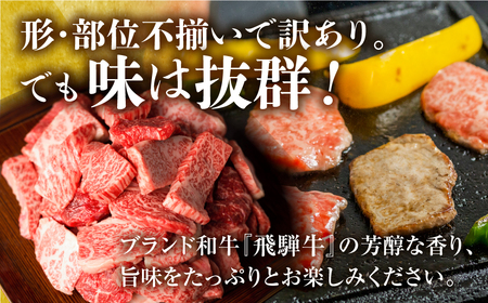 訳あり 飛騨牛 焼肉 切落し 600g 訳あり [S540]