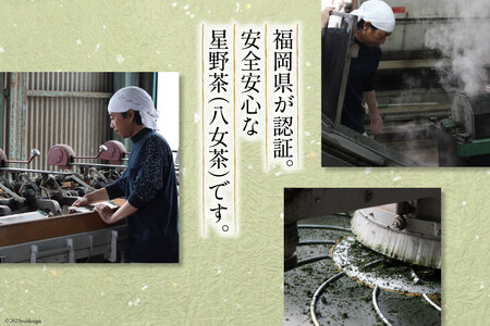 【 6回 定期便 】 茶 深蒸し 高級 煎茶 (深蒸し茶) 100g×1袋×6回 [ ベネフィス 福岡県 筑紫野市 21760996]