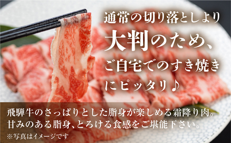 訳あり 飛騨牛 すき焼き用 切落し 600g 訳あり [S545]