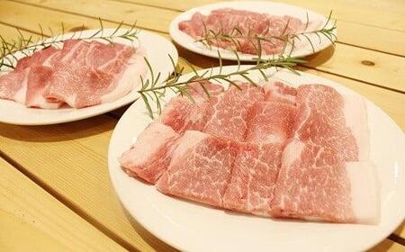 京丹波高原豚 モモ肉 焼き肉 1.3kg （豚 肉 豚肉 豚もも モモ 焼肉 焼き肉 京丹波高原豚 三元豚 ブランド豚 霜降り もも肉 焼肉 国産 ブランド 贈答 ギフト お歳暮 お中元 アウトドア キャンプ バーベキュー BBQ 冷凍 京都府 京丹波町 ふるさと納税）