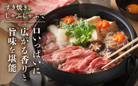 A5等級 飛騨牛 肩ロース すき焼き しゃぶしゃぶ 500g すき焼き [S546]
