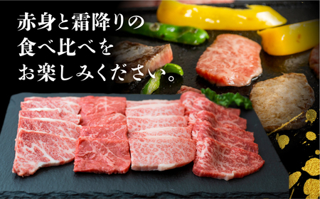 A5等級 飛騨牛 焼肉 4種 食べ比べセット 600g 焼肉 [S549]