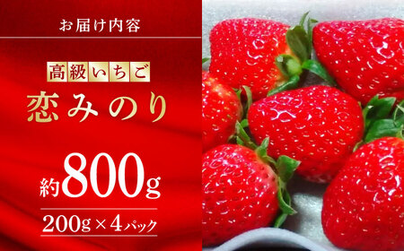 【先行予約】 高級いちご恋みのり約800g(200g×4)有機栽培いちご苺イチゴZBB006