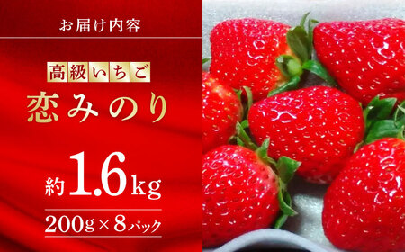 【先行予約】 高級いちご恋みのり約1600g(200g×8pc)有機栽培いちご苺ZBB007