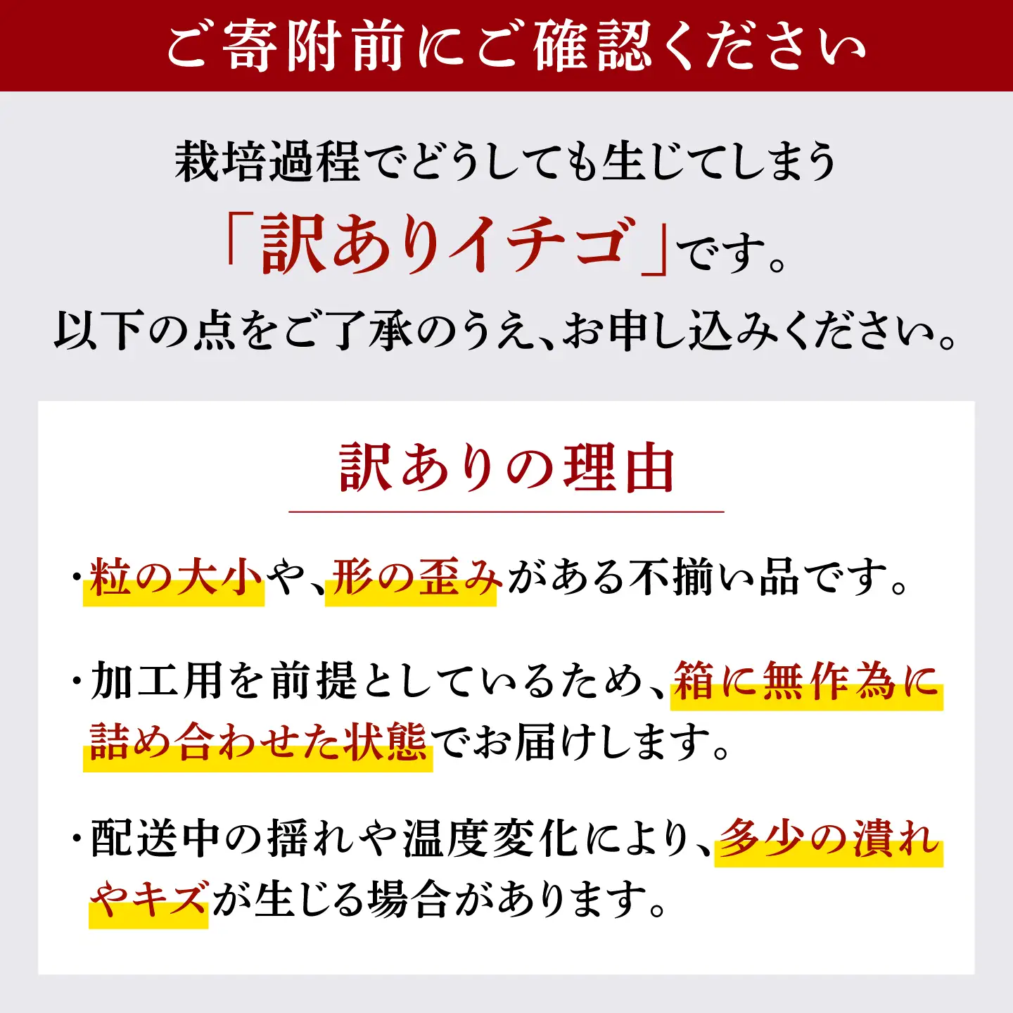 訳あり加工用いちご先行予約2回定期 恋みのり約1kg 苺いちごイチゴ有機栽培ZBB013