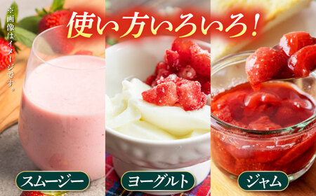 【12回定期便】高級 冷凍  いちご 加工用 約1kg（約500g×2袋）【伊藤農園】 果物 フルーツ イチゴ いちご 苺 熊本県 特産品 オーガニック 有機 恋みのり 冷凍 [ZBB017]