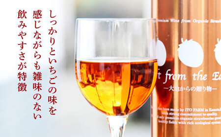 【6回定期便】高級 いちご 100％ワイン Giftfromthe Earth -大地からの贈り物- オーガニック【伊藤農園】  いちご 苺 熊本県 特産品 有機 お酒 オーガニックワイン [ZBB019]