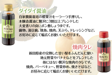アレンジ5本セット トマト 人参 にんじん 玉ねぎ たまねぎ フレッシュ パスタソース 焼肉のタレ サラダ ハンバーグ 野菜摂取 保存料不使用