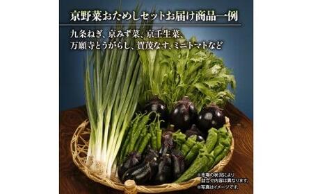 選りすぐり京野菜 旬の野菜 詰め合わせセット 6種程度