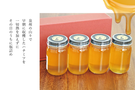 なまハチミツ180g　4本セット【2026年6月中旬以降発送予定