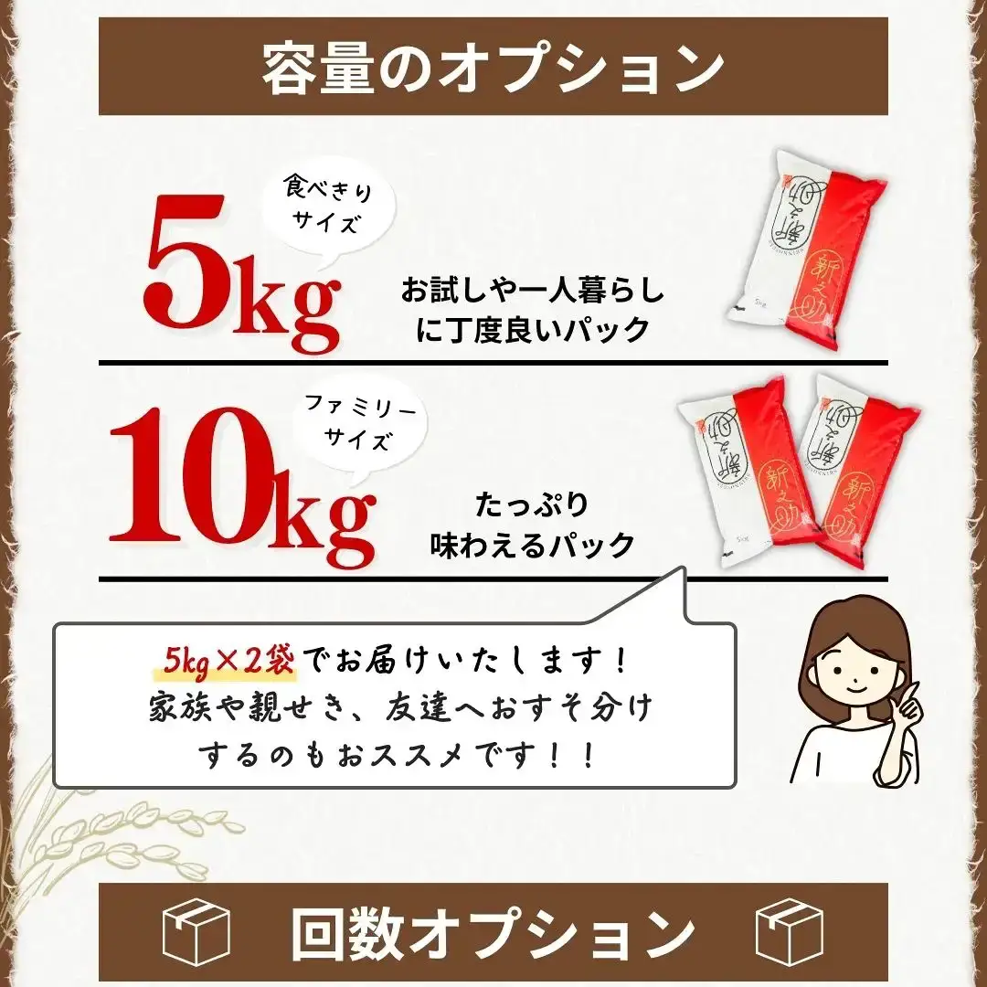 【令和7年産米】新潟県三条市 新之助 無洗米10kg（5kg×2袋） 