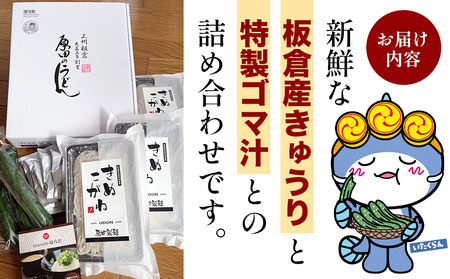 板倉きゅうりの 冷汁うどん 詰合せ 6人前