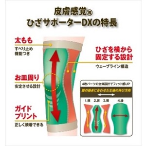 【サイズが選べる】MADE IN KORIYAMA皮膚感覚ひざサポーターDX ＜LL・L・M・Sからサイズが選べる＞ 雑貨 日用品 福祉用品 ファッション  Sサイズ