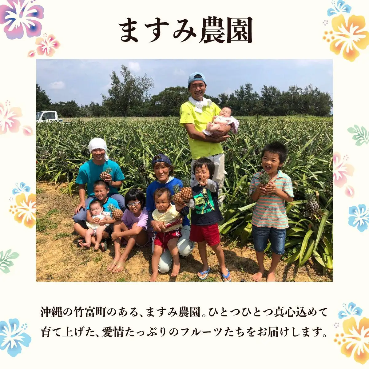 アップルマンゴー 約2kg 