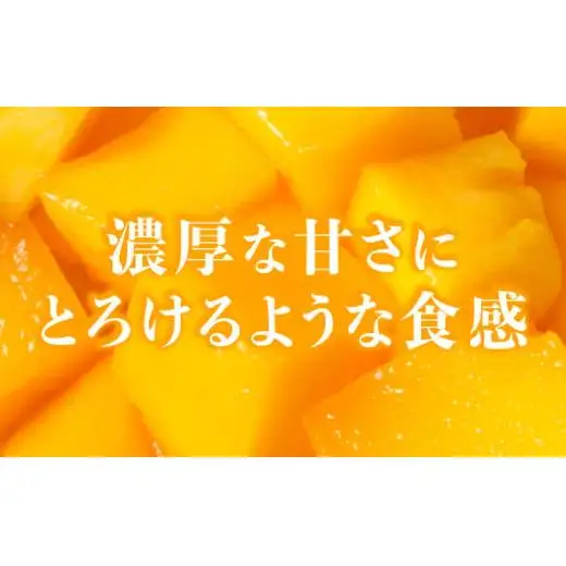満足度NO.1！1玉1玉検品し、樹上完熟で糖度14度以上のみ発送します！ 西表島プレミアムマンゴー900g