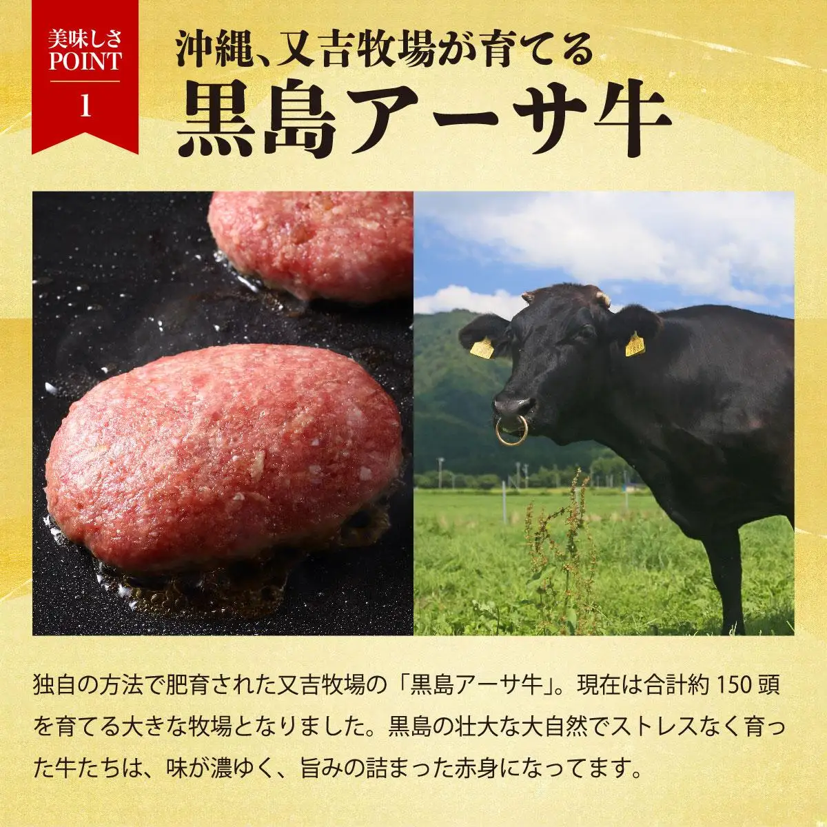ハンバーグ 牛肉 100% 黒島 アーサ牛 150g×10個 セット