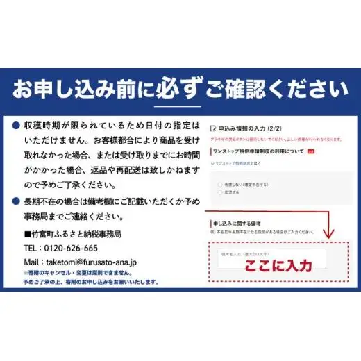 新品種パイン 『サンドルチェ』 または 『ホワイトココ』 3玉セット 約3kg 西表島産