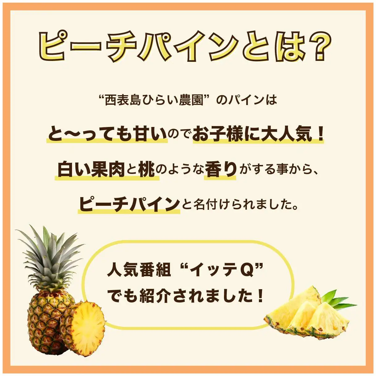 訳あり ピーチパイン 約15kg 