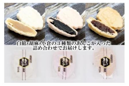 【形も可愛い】招福 亀の子もなか（3種）計18個 [菓匠 紅梅 宮城県 気仙沼市 20563527]