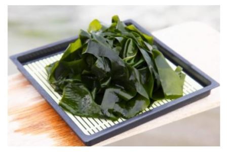 三陸産 海藻 5種セット ( わかめ 茎わかめ ひじき ふのり 昆布 ) [さんりくみらい 宮城県 気仙沼市 20564805]