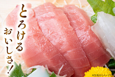 特撰 中トロマグロ（メバチマグロ）１柵 150g [川印　村田漁業 宮城県 気仙沼市 20563398]