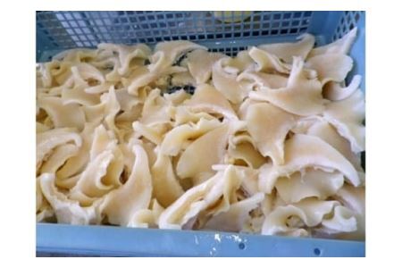 ふかひれスープ 紅焼魚翅 6袋入 [中華高橋水産 宮城県 気仙沼市 20563439]