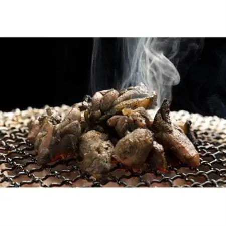 はかた地どり炭火焼セット500g(100g×5p)_肉 地鶏 鶏肉   肉  鶏肉 _【配送不可地域：離島】【1444248】