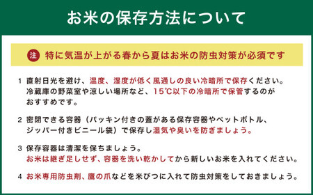 【令和7年産】福岡県産「元気つくし」5kg