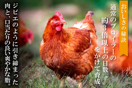 【熟成】地鶏の銀山赤どり精肉（まるごと２羽分）【鶏肉 2羽分 まるごと 2kg～2.4kg 地鶏 赤鶏 赤どり 熟成 無農薬 唐揚げ 焼き鳥 すき焼き 真空パック 真空 冷凍 国産 島根県 大田市】