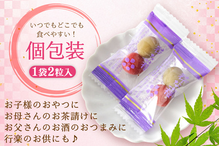 【やばいだろ】粋な小梅 30粒×15 計450粒 カリカリ梅干し 国産 個包装[山梨農産食品 山梨県 韮崎市 20743417] 