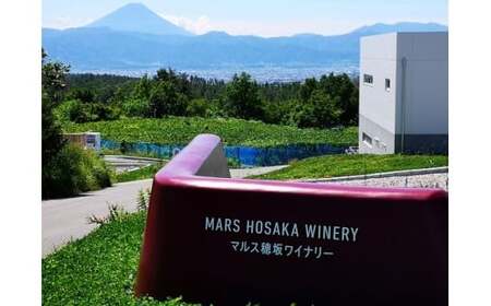 コーヒー 豆 100g 2種&オリジナル缶セット [本坊酒造 マルス穂坂ワイナリー 山梨県 韮崎市 20743356] 