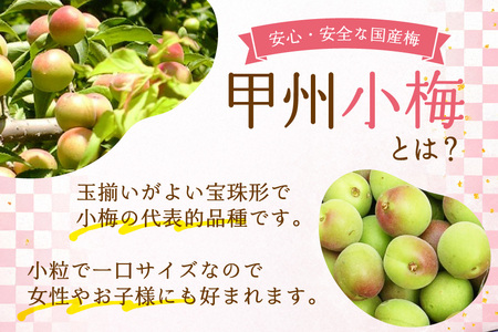 カリカリ梅干し 甲州小梅 300g  国産 減塩 熱中症予防 お弁当 おにぎり [山梨農産食品 山梨県 韮崎市 20743178] 
