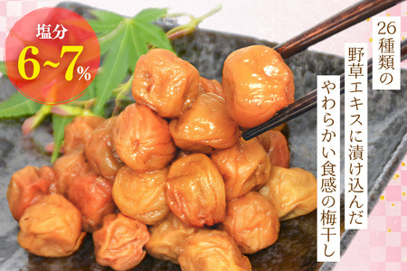 【やわらか】信玄の薬膳小梅干 200g×2 小粒 国産[山梨農産食品 山梨県 韮崎市 20743181]