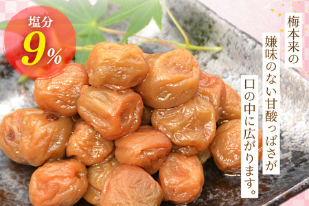 【箸が止まらない】はちみつ風味 小梅 梅干し 200g×3 小粒 国産 [山梨農産食品 山梨県 韮崎市 20743184]