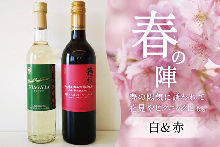 ワイン 赤 白 おまかせ 2本セット ソムリエ セレクト 日本ワイン ～春の陣～ [本坊酒造 マルス穂坂ワイナリー 山梨県 韮崎市 20743117] 