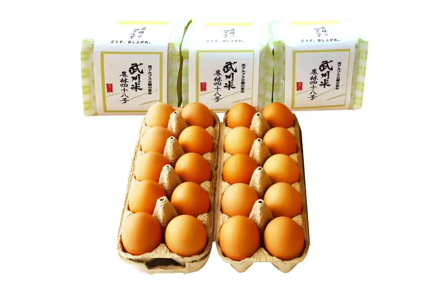 卵 こだわりの卵かけご飯 セット 穂坂のあかたま 10個 2パック 武川米 450g 3袋 [ハイチック 山梨県 韮崎市 20745484]