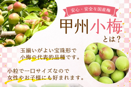 梅干し はちみつ風味 ｜干し小梅 75g×2 国産 漬物 つけもの [山梨農産食品 山梨県 韮崎市 20743523] 