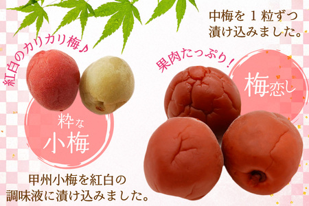 梅干し ｜粋な小梅 15個 ｜ 梅恋し 10個 個包装 食べ比べ 梅 漬物 つけもの おやつ おつまみ 熱中症予防 [山梨農産食品 山梨県 韮崎市 20743521]