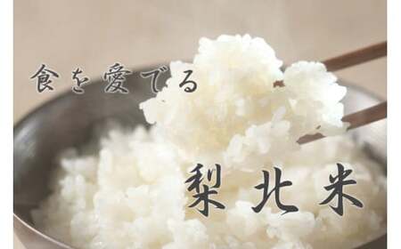 米 武川米 コシヒカリ 5kg [梨北農業協同組合 山梨県 韮崎市 20743510]