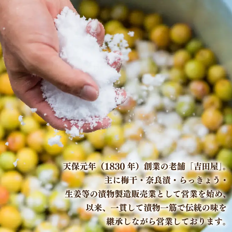 こだわりの梅干八代目 1.2kg 南高梅 無添加 減塩 昔ながら 老舗 伝統 国産 大洗 大洗町 梅干し 梅干 梅 うめぼし うめ_BM002