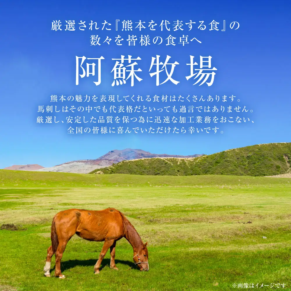 大トロ馬刺し 300g 馬さし お肉 馬肉 刺身 刺し身 馬刺し 馬刺しブロック 霜降り おかず おつまみ 熊本県 八代市